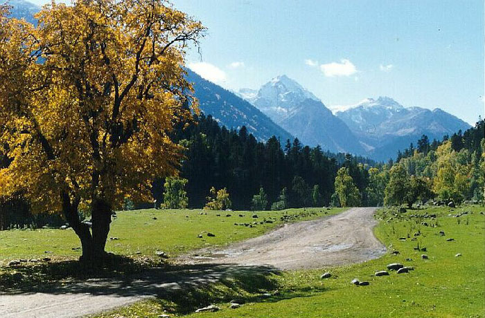 архыз в ноябре фото онлайн архыз в ноябре фото