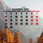  2025